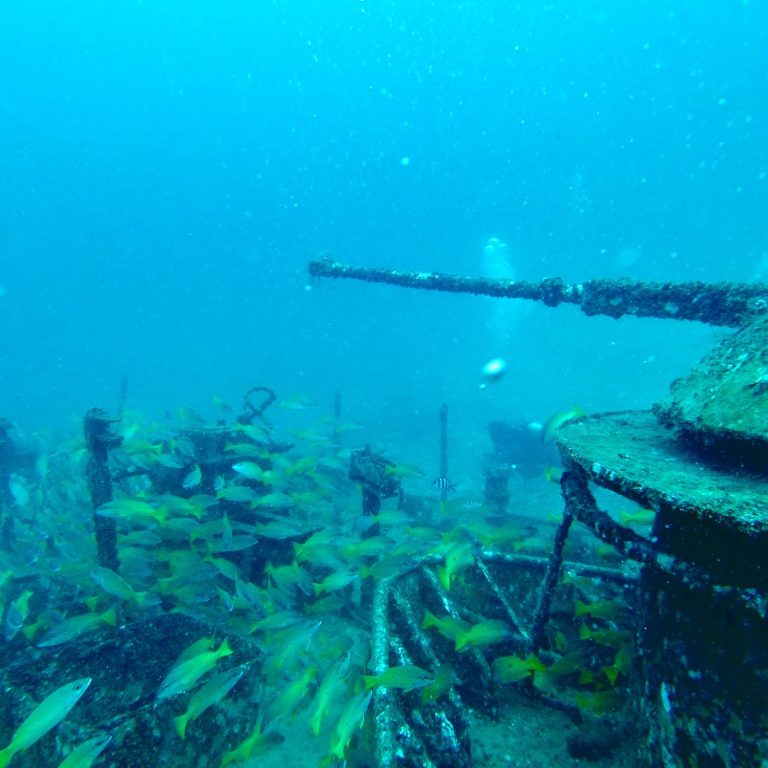 Exploration of a little-known shipwreck in Seychelles A diver exploring a little-known wreck site covered with corals and surrounded by yellow reef fish, a location documented by Oceanika