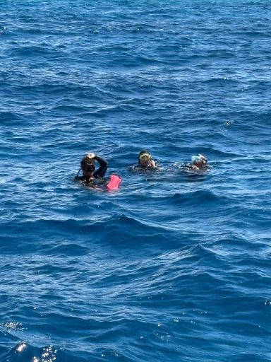 Three divers float on the surface of the sea, one raising an arm toward the boat in calm blue water.